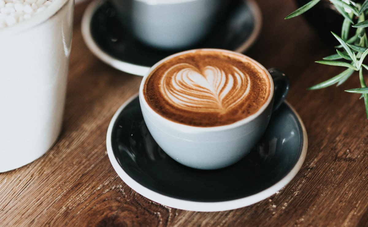 Come Join Us for SCCR Free Events!