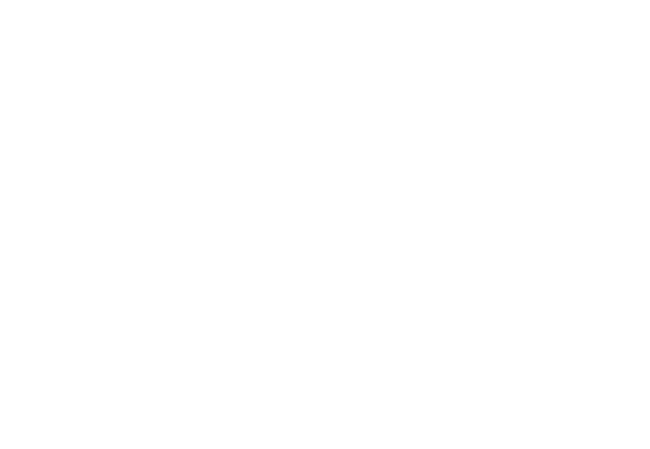Conelias Refuse LLC