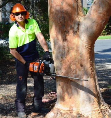 service single images