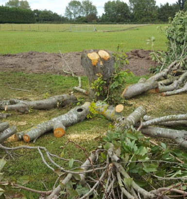 service single images