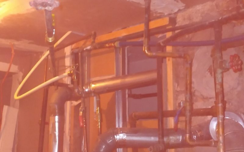 Resized_20230213_144921_445338669603552