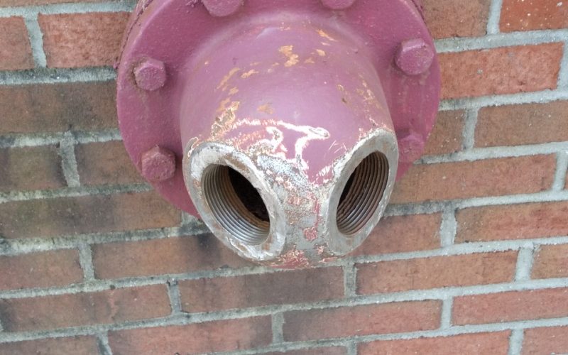 Resized_20230509_131227_444649816472461