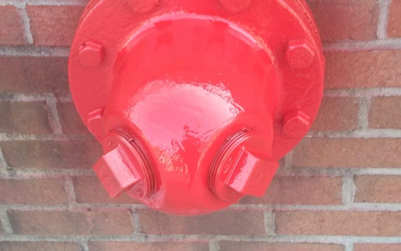 Resized_20230509_155925_444560119195255