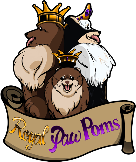 Royal Paw Poms